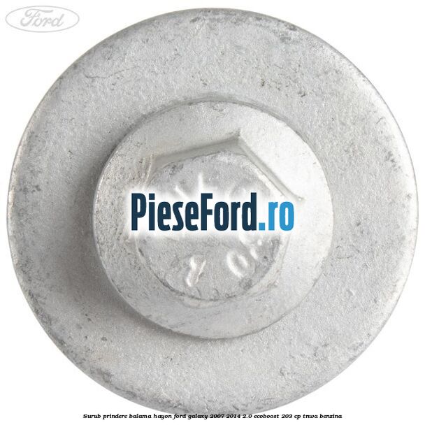 Surub prindere balama hayon Ford Galaxy 2007-2014 2.0 EcoBoost 203 cp TNWA benzina