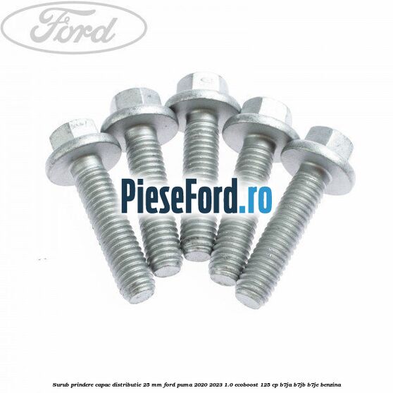 Surub prindere capac distributie 25 mm Ford Puma 2020-2023 1.0 EcoBoost 125 cp B7JA, B7JB, B7JE benzina