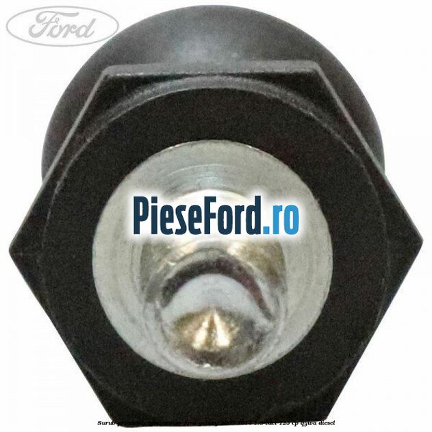 Surub prindere capac motor Ford Galaxy 2007-2014 1.8 TDCi 125 cp QYWA diesel