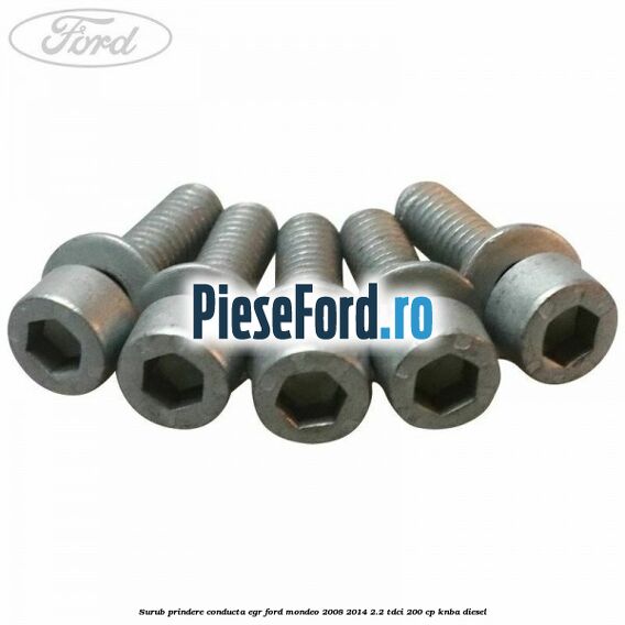 Surub prindere conducta EGR Ford Mondeo 2008-2014 2.2 TDCi 200 cp KNBA diesel
