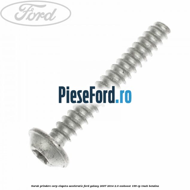 Surub prindere corp clapeta acceleratie Ford Galaxy 2007-2014 2.0 EcoBoost 199 cp TNWB benzina