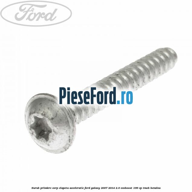 Surub prindere corp clapeta acceleratie Ford Galaxy 2007-2014 2.0 EcoBoost 199 cp TNWB benzina