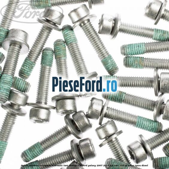 Surub prindere intinzator hidraulic lant distributie Ford Galaxy 2007-2014 2.0 TDCi 115 cp KLWA, TYWA diesel