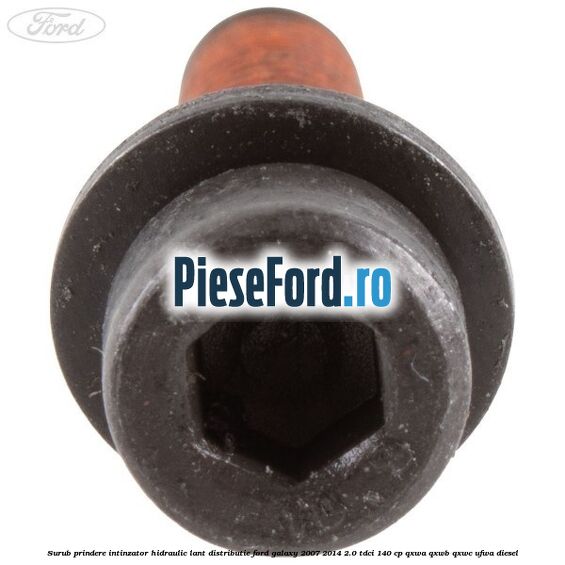Surub prindere intinzator hidraulic lant distributie Ford Galaxy 2007-2014 2.0 TDCi 140 cp QXWA, QXWB, QXWC, UFWA diesel