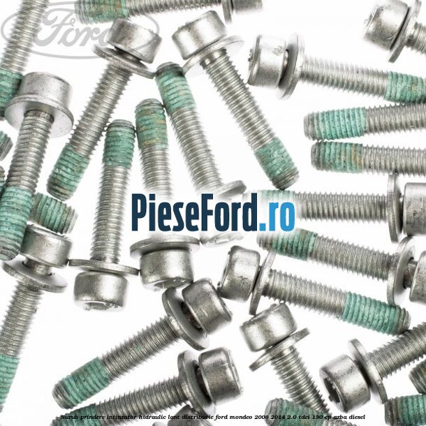 Surub prindere intinzator hidraulic lant distributie Ford Mondeo 2008-2014 2.0 TDCi 130 cp Surub prindere intinzator hidraulic lant distributie Ford Mondeo 2008-2014 2.0 TDCi 130 cp AZBA diesel
