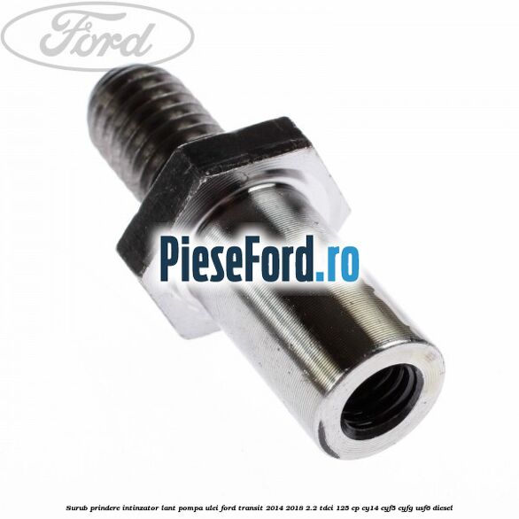 Surub prindere intinzator lant pompa ulei Ford Transit 2014-2018 2.2 TDCi 125 cp CY14, CYF5, CYFG, USF6 diesel