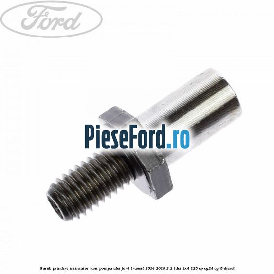 Surub prindere intinzator lant pompa ulei Ford Transit 2014-2018 2.2 TDCi 4x4 125 cp CY24, CYR5 diesel