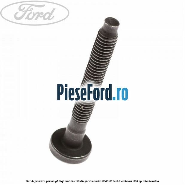 Surub prindere patina ghidaj lant distributie Ford Mondeo 2008-2014 2.0 EcoBoost 203 cp TNBA benzina