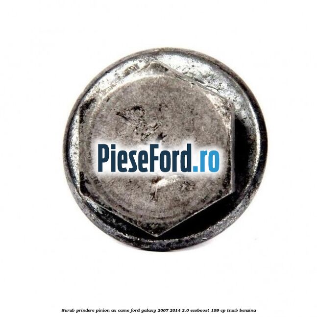 Surub prindere pinion ax came Ford Galaxy 2007-2014 2.0 EcoBoost 199 cp TNWB benzina