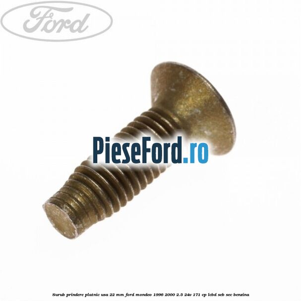Surub prindere platnic usa 22 mm Ford Mondeo 1996-2000 2.5 24V 171 cp LCBD, SEB, SEC benzina