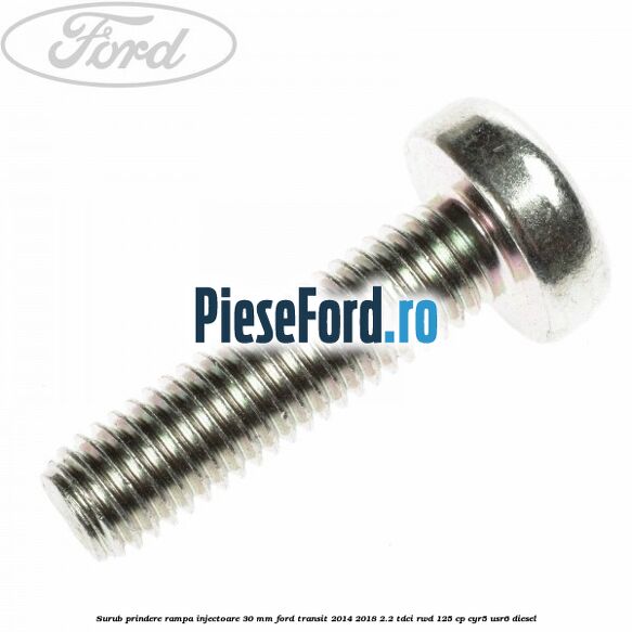 Surub prindere rampa injectoare 30 mm Ford Transit 2014-2018 2.2 TDCi RWD 125 cp CYR5, USR6 diesel