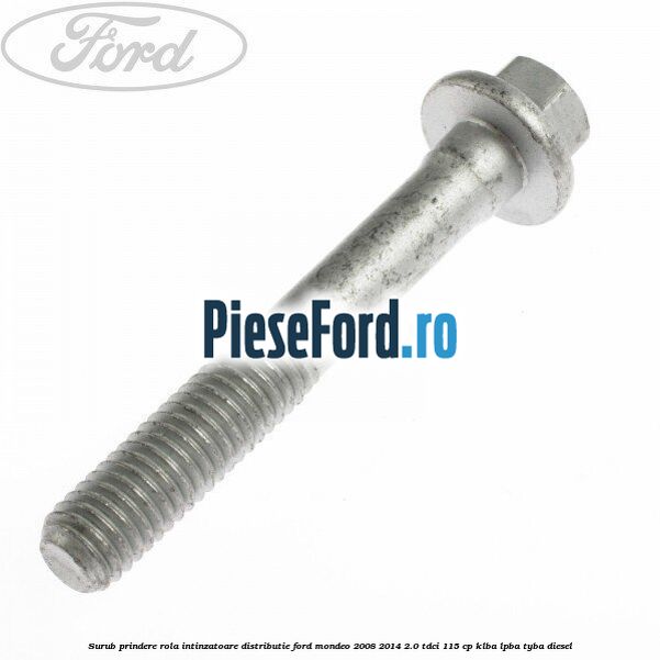 Surub prindere rola intinzatoare distributie Ford Mondeo 2008-2014 2.0 TDCi 115 cp KLBA, LPBA, TYBA diesel