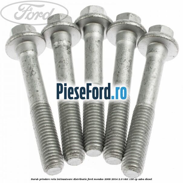 Surub prindere rola intinzatoare distributie Ford Mondeo 2008-2014 2.0 TDCi 130 cp AZBA diesel