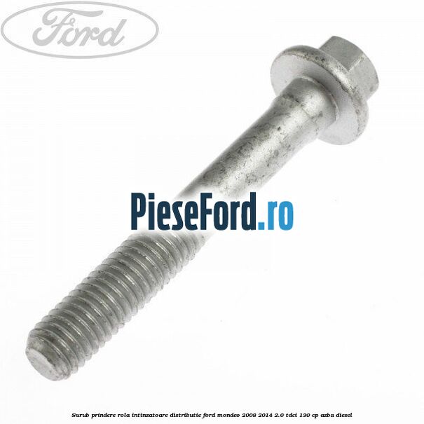 Surub prindere rola intinzatoare distributie Ford Mondeo 2008-2014 2.0 TDCi 130 cp AZBA diesel
