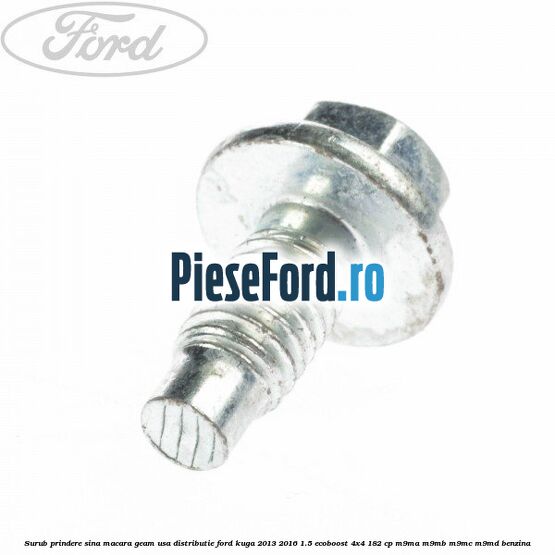 Surub prindere sina macara geam usa, distributie, Ford Kuga 2013-2016 1.5 EcoBoost 4x4 182 cp M9MA, M9MB, M9MC, M9MD benzina