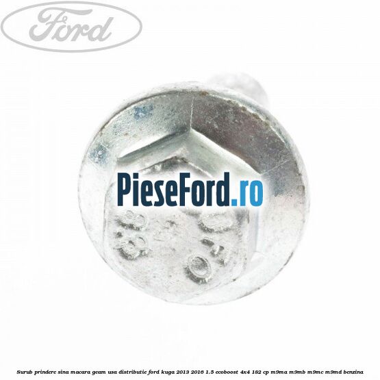 Surub prindere sina macara geam usa, distributie, Ford Kuga 2013-2016 1.5 EcoBoost 4x4 182 cp M9MA, M9MB, M9MC, M9MD benzina