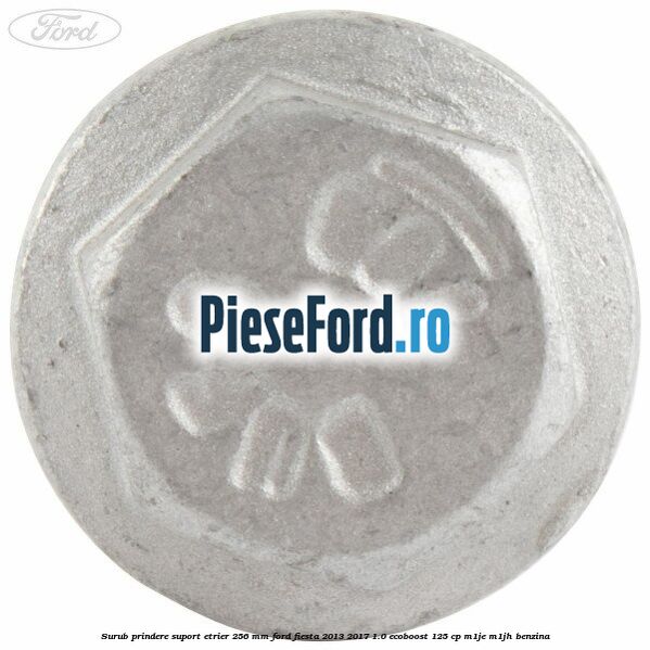 Surub prindere suport etrier 256 MM Ford Fiesta 2013-2017 1.0 EcoBoost 125 cp M1JE, M1JH benzina