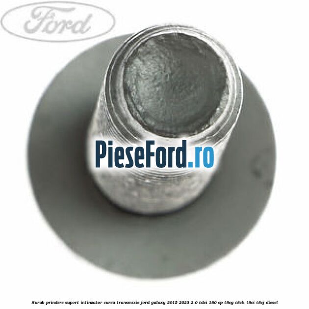 Surub prindere suport intinzator curea transmisie Ford Galaxy 2015-2023 2.0 TDCi 180 cp Surub prindere suport intinzator curea transmisie Ford Galaxy 2015-2023 2.0 TDCi 180 cp T8CG, T8CH, T8CI, T8CJ diesel