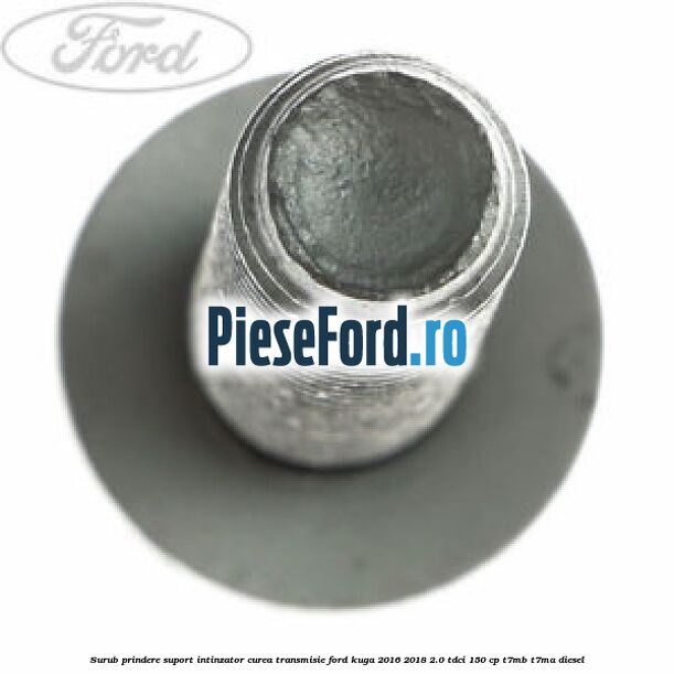 Surub prindere suport intinzator curea transmisie Ford Kuga 2016-2018 2.0 TDCi 150 cp T7MB, T7MA diesel