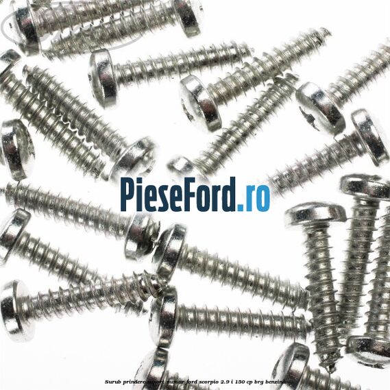 Surub prindere suport numar Ford Scorpio 2.9 i 150 cp BRG benzina