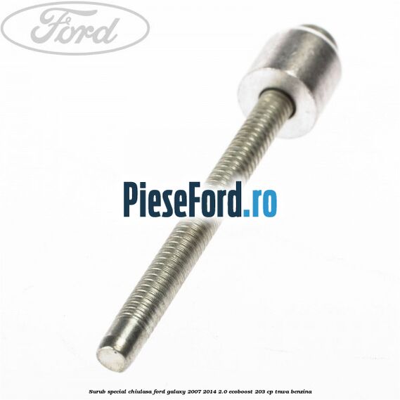 Surub special chiulasa Ford Galaxy 2007-2014 2.0 EcoBoost 203 cp TNWA benzina
