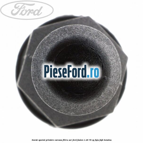Surub special prindere carcasa filtru aer Ford Fusion 1.25 75 cp FUJA, FUJB benzina