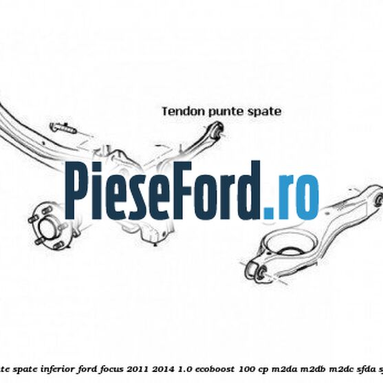 Tendon punte spate, inferior Ford Focus 2011-2014 1.0 EcoBoost 100 cp M2DA, M2DB, M2DC, SFDA, SFDB benzina