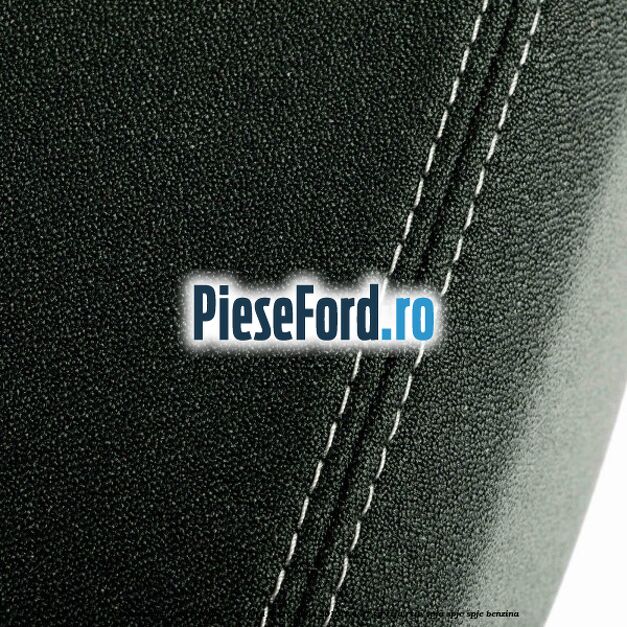 Tetiera scaun fata echipare lux Ford Fiesta 2008-2012 1.4 97 cp RTJA, RTJB, SPJA, SPJC, SPJE benzina