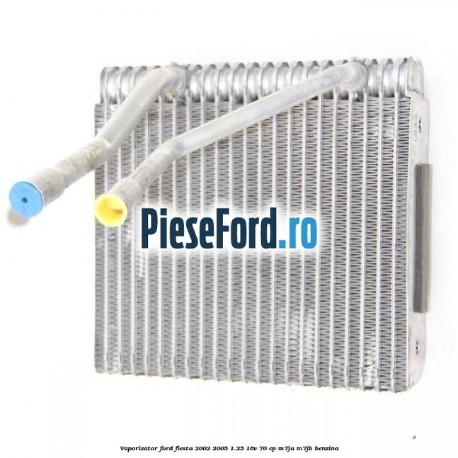 Vaporizator Ford Fiesta 2002-2005 1.25 16V 70 cp M7JA, M7JB benzina