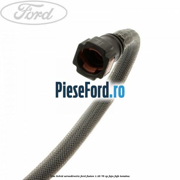 Vas lichid servodirectie Ford Fusion 1.25 75 cp FUJA, FUJB benzina