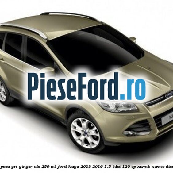 Vopsea gri Ginger Ale, 250 ml Ford Kuga 2013-2016 1.5 TDCi 120 cp Vopsea gri Ginger Ale, 250 ml Ford Kuga 2013-2016 1.5 TDCi 120 cp XWMB, XWMC diesel