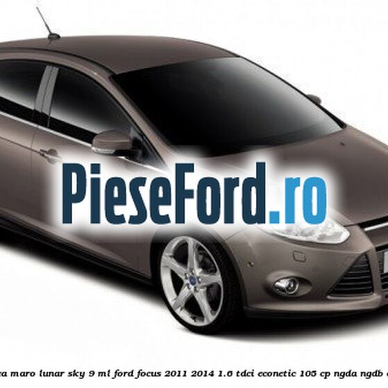Vopsea maro Lunar Sky, 9 ml Ford Focus 2011-2014 1.6 TDCi ECOnetic 105 cp NGDA, NGDB diesel