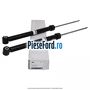 1 Pachet amortizoare spate Ford Motorcraft Ford Fusion 1.4 80 cp FXJA, FXJB, FXJC benzina