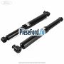 1 Pachet amortizoare spate Ford Motorcraft Ford Transit 2006-2014 2.4 TDCi 140 cp H9FB diesel