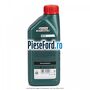 1 Ulei Ford 0W20 Castrol Magnatec 1L Ford Mustang Mach-E MACH-E (CGW) EV 258 cp n/a electric