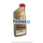 1 Ulei Ford 0W40 Castrol A3 Edge Professional 1L Ford Tourneo Connect 2019-2023 1.5 EcoBlue 120 cp ZTGA diesel