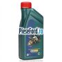 1 Ulei Ford 5W20 Castrol Magnatec 1L Ford Fiesta 1989-1996 1.8 16V 105 cp RDB benzina