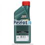 1 Ulei Ford 5W20 Castrol Magnatec 1L Ford Transit 2019-2023 2.0 EcoBlue RWD 130 cp BKRA, YMHA, YMR6 diesel