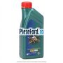 1 Ulei Ford 5W30 Castrol Magnatec Professional 1L Ford Transit 1994-2000 2.5 DI 69 cp 4FA, 4FB, 4FC, 4FD diesel