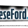 Bandou usa dreapta fata vertical Ford Fiesta 2013-2017 1.6 ST 182 cp JTJA, JTJB benzina