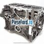 Bloc motor Ford Fiesta 2013-2017 1.25 60 cp STJA, STJB, STJC, STJD benzina