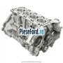 Bloc motor Ford Kuga 2019-2023 2.0 EcoBlue mHEV 150 cp YLDC hybrid