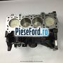 Bloc motor Ford Puma 1997-2003 1.6 16V 103 cp L1W benzina