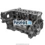 Bloc motor Ford Transit 2006-2014 2.2 TDCi RWD 155 cp CVRC diesel