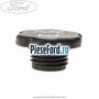 Buson capac ulei model 2 Ford Fiesta 1996-2001 1.8 D 60 cp RTJ, RTK diesel | Foto 2