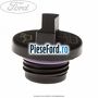 Buson umplere ulei Ford Ka 2009-2016 1.2 69 cp 169A4000, FP4 benzina