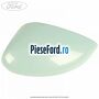 Capac oglinda stanga bohai bay mint Ford EcoSport 2013-2018 1.5 TDCi 95 cp XVJD diesel