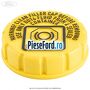 Capac rezervor lichid frana Ford Ka 2009-2016 1.2 69 cp 169A4000, FP4 benzina