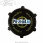 Capac rezervor ulei servodirectie Ford B-Max 1.4 LPG 90 cp RTJC LPG