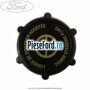 Capac rezervor ulei servodirectie Ford Fiesta 2005-2008 1.3 69 cp A9JA, A9JB benzina